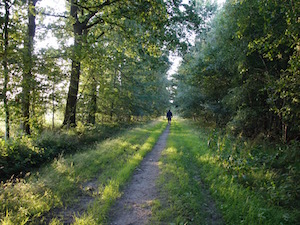 Wandelen in Drenthe 