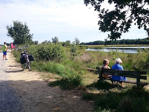 rust en ruimte Hermelijn