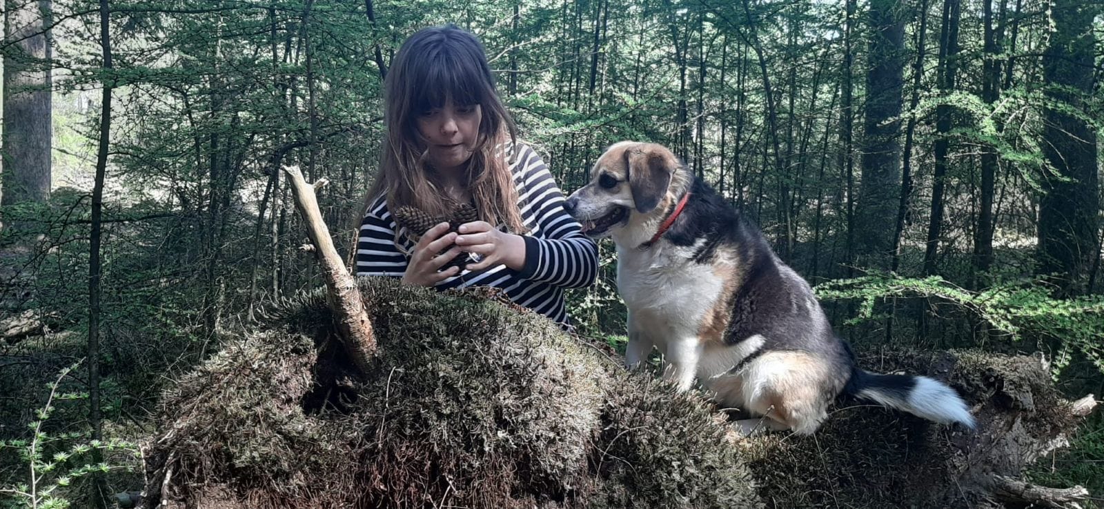 vakantie met de hond in het bos