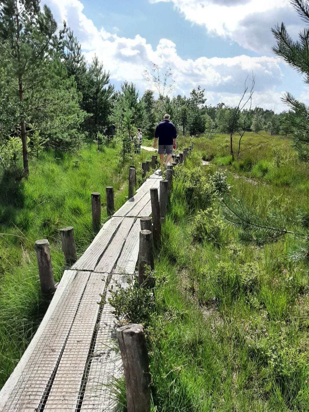 Huisje huren Drenthe met hond