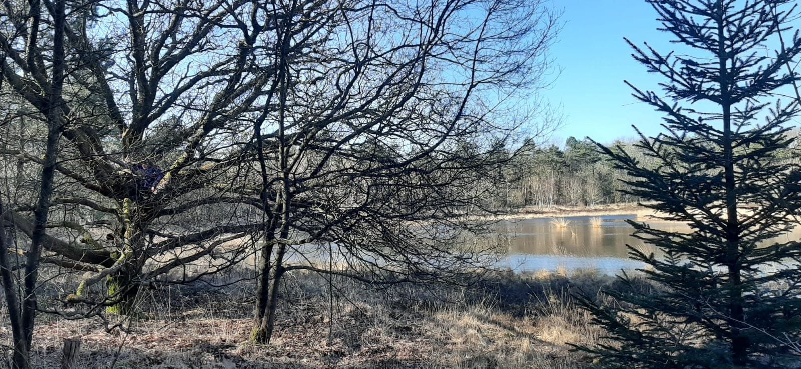 Prikkelarme omgeving vakantiehuis